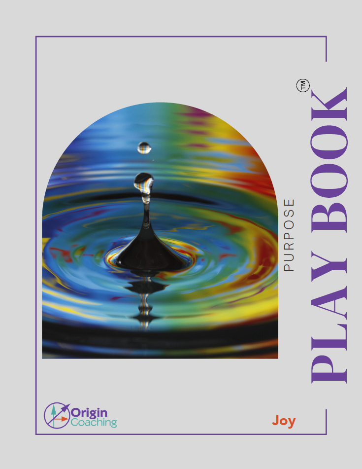 playbookjoy_cover